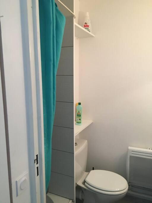 Tres Beau Studio Au Grau Du Roi Tout Equipe 33M2 Le Grau-du-Roi Exteriör bild